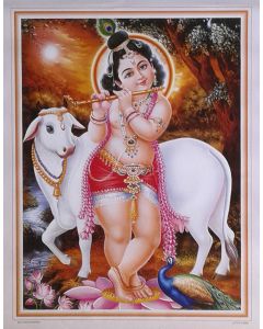 Murlidhar Krishna with Cow (Poster Size: 20"X16")