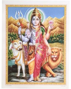 Ardhnarishvara Poster (Poster Size: 20"X16")